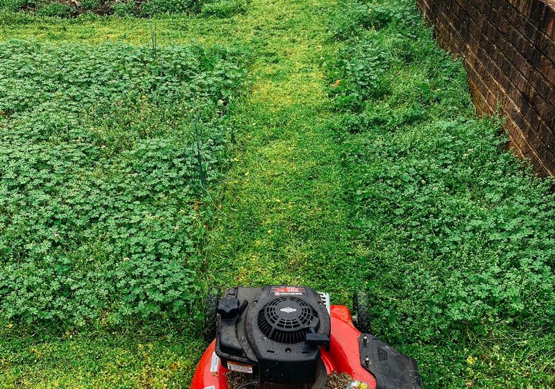 Saturated lawn in a Chattanooga yard